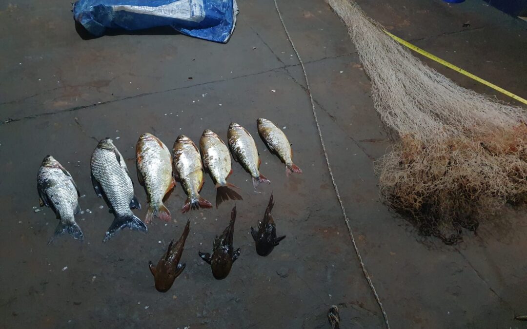 PMA de São Gabriel do Oeste prende e autua homens por pesca predatória