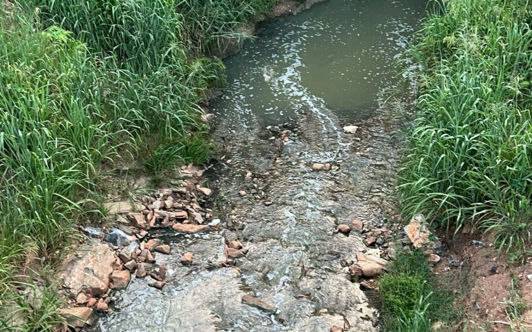 Bonito: Com cheiro e aspecto de esgoto, água escorre para o Rio Formoso 