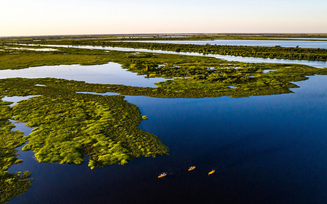 Agora é lei: MS adota apelido de Estado do Pantanal