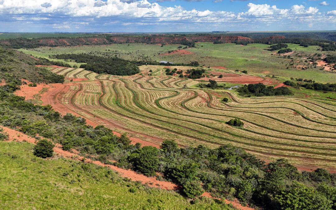 Parque Estadual: Maior projeto de recuperação de uc abrange 6 mil hectares do taquari