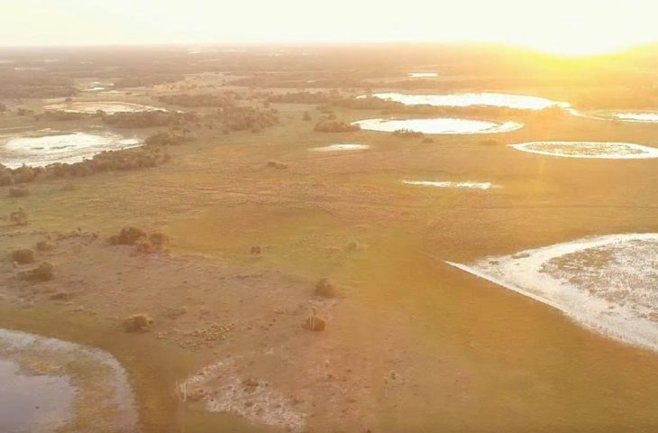 Imasul convoca proprietários de imóveis no Pantanal com processos em andamento para adequação à nova lei
