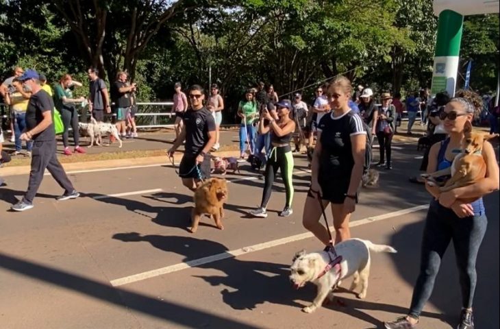 Abril Laranja: Ações de conscientização contra maus-tratos a animais chegam a Bodoquena e Corumbá