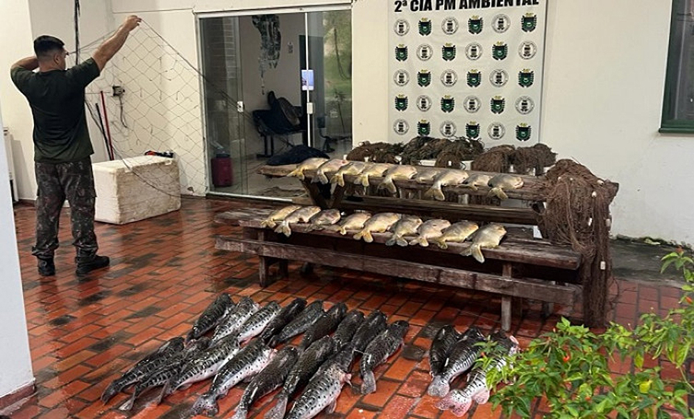 Pesca predatória: Pma apreende 108 kg de pescado e redes no Pantanal