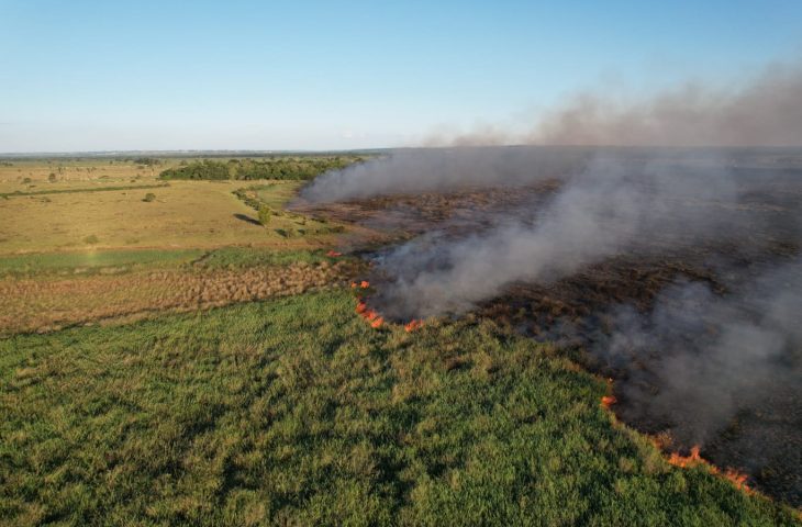 Bombeiros de MS atuam no combate a dois incêndios florestais, no Pantanal e em Naviraí