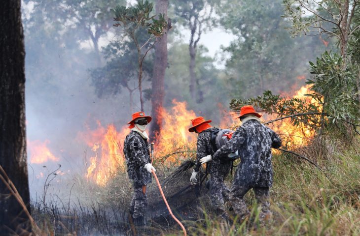 Sob coordenação dos bombeiros de MS, Força Nacional já atua no combate ao fogo no Pantanal