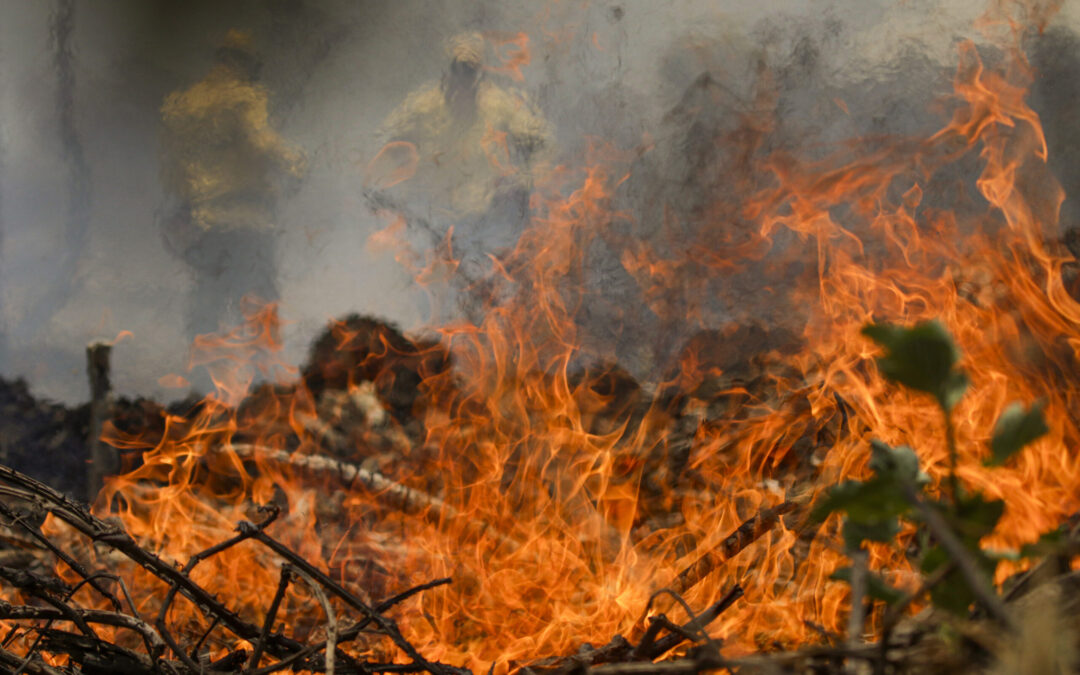Mato Grosso do Sul Pede Reconhecimento Federal de Emergência por Incêndios no Pantanal