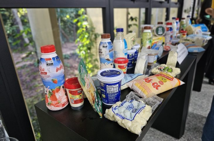 Governo de Mato Grosso do Sul elabora plano de fomento à cadeia produtiva da pecuária leiteira