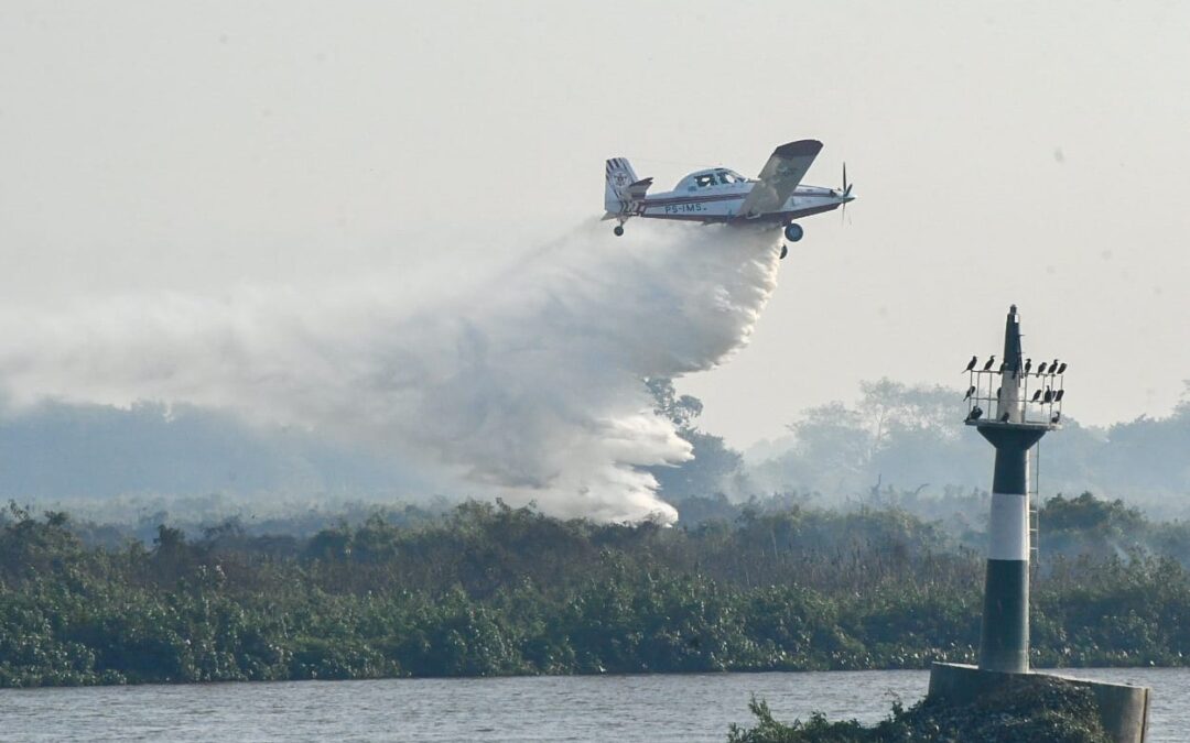 Com mais de 4 mil focos ativos de incêndio, agosto fechou como o mês mais crítico de 2024