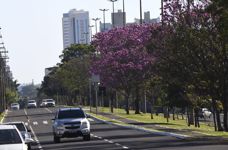 Terça-feira promete ser de sol e tempo firme em Mato Grosso do Sul, mas frio permanece