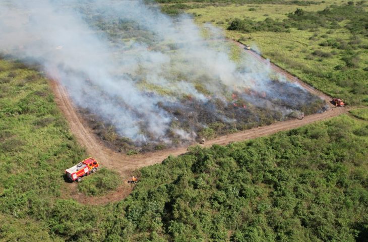 Destaque da semana: lei federal permite levar manejo feito em MS a outros estados do País