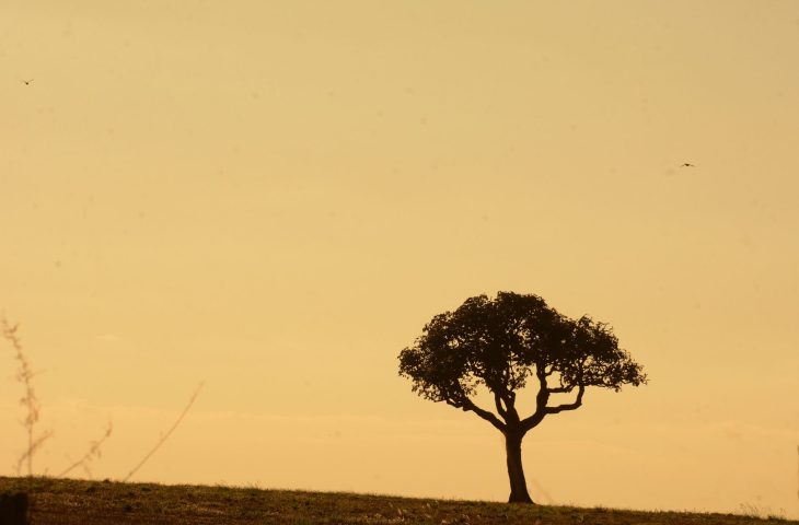 Clima: chuvas abaixo da média e altas temperaturas permanecem nos próximos meses