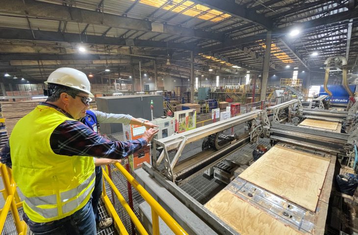 Vale da Celulose: Arauco aprova R$ 25 bi em investimento que garante desenvolvimento em MS