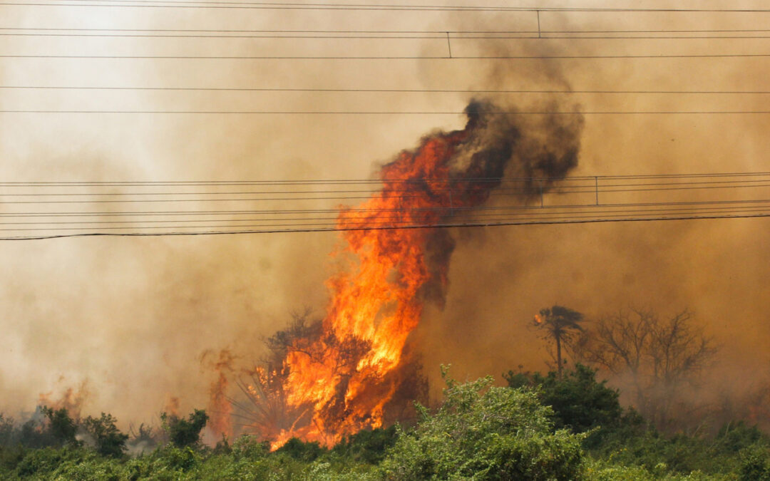 INPE: Brasil já registrou mais de 154 mil focos de calor