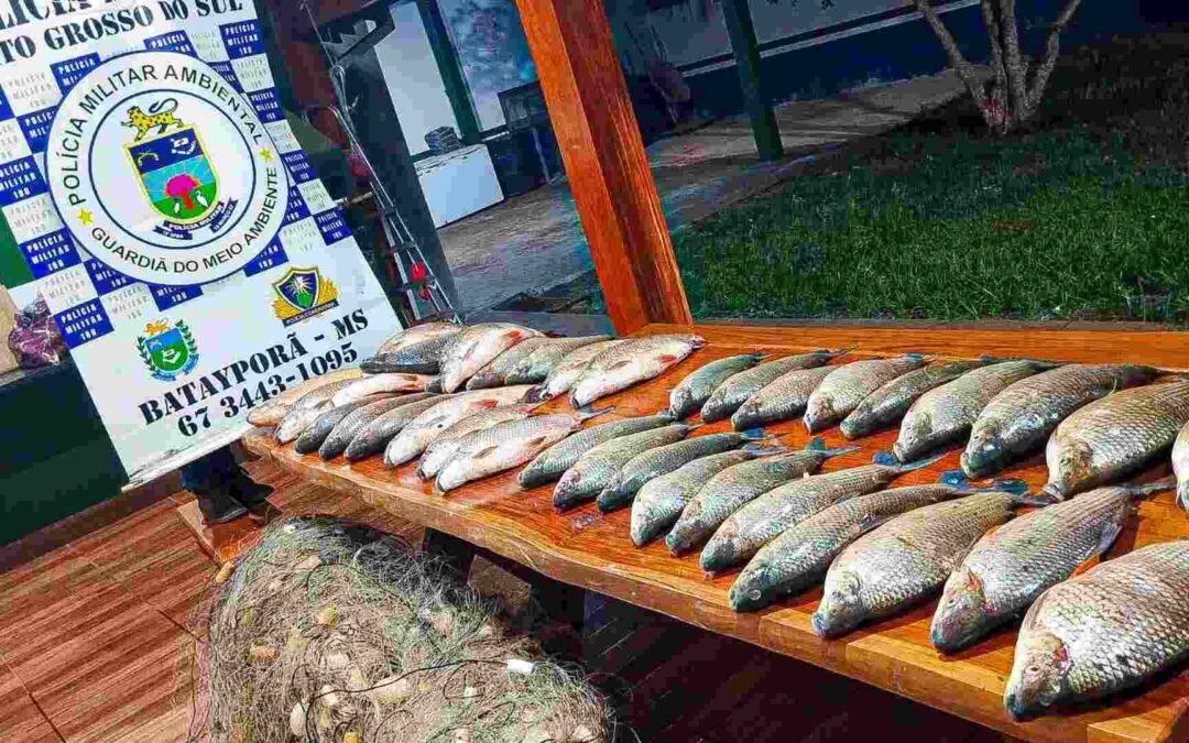 Nova Andradina:Trio é multado em mais de R$ 14 mil pela PMA após pesca ilegal