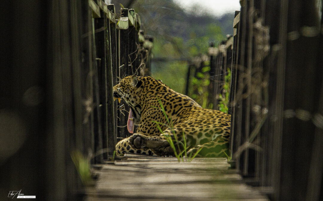 San Francisco reúne agentes de turismo e lança novo atrativo