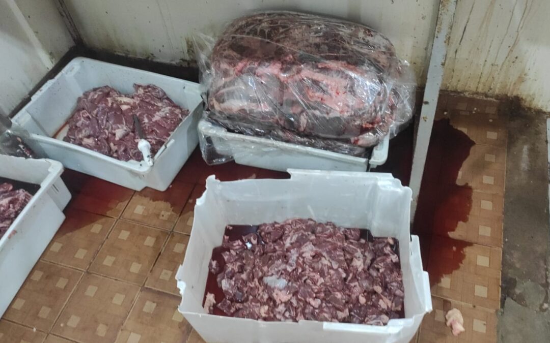 Polícia Civil prende dono de espetaria clandestina por funcionamento irregular na capital