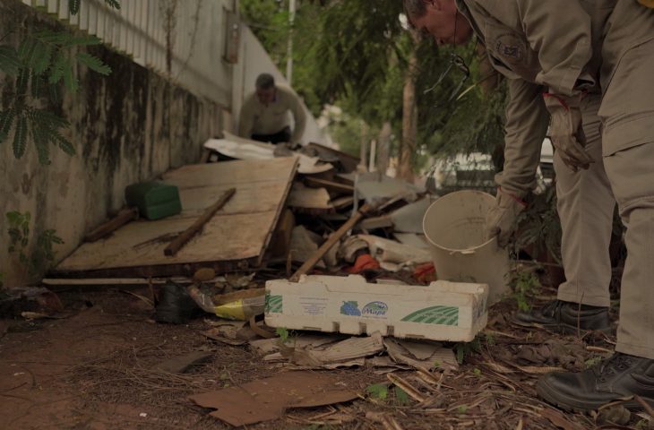 Boletim Epidemiológico: MS registra 1.663 casos confirmados de dengue