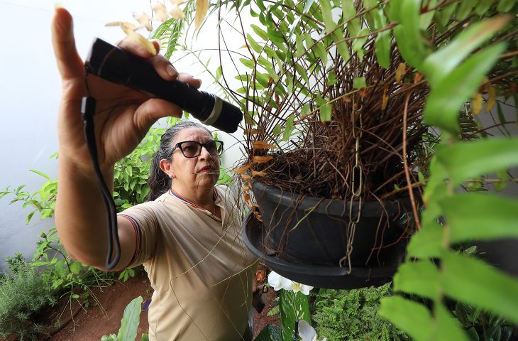 Mapeamento da SES revela aumento de dengue e Chikungunya em áreas rurais de MS