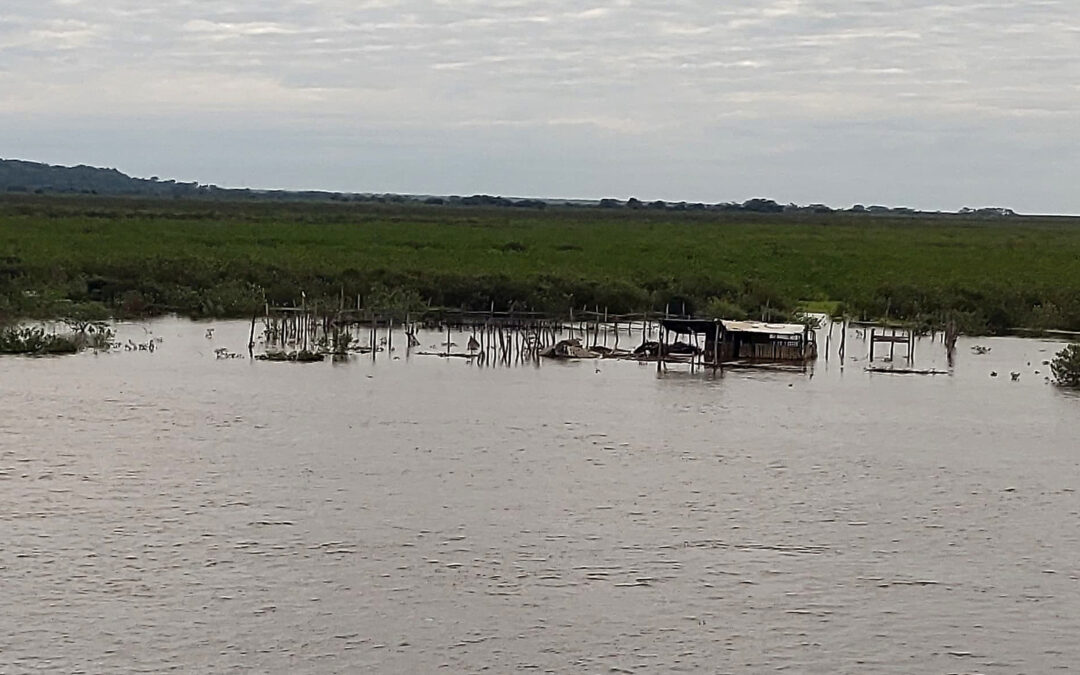 Rio Paraguai atinge 3 metros, depois do recorde negativo histórico de 2024
