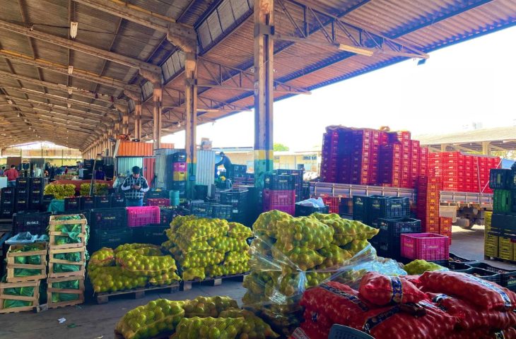 Estado amplia participação na Ceasa, com aumento de 18,78 % no volume comercializado