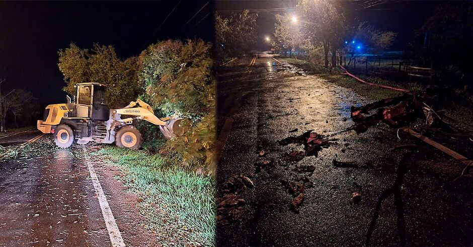 Bonito: Temporal derruba árvores de grande porte