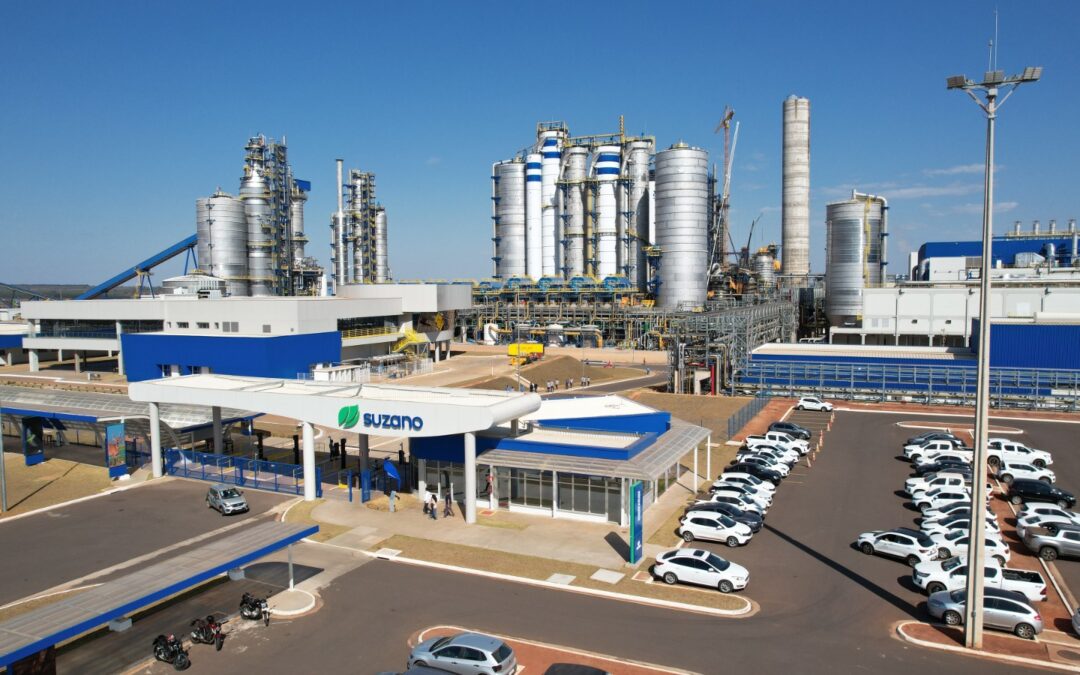 Ribas do Rio Pardo: Suzano abre três processos seletivos para preencher vagas