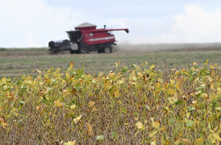 Plantio da maior safra de soja da história de MS é iniciado, com previsão de 15 milhões de toneladas