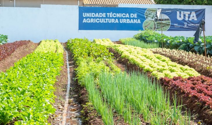 Hortifrutis doados pela Ceasa em MS matam a fome e viram adubo para a comunidade