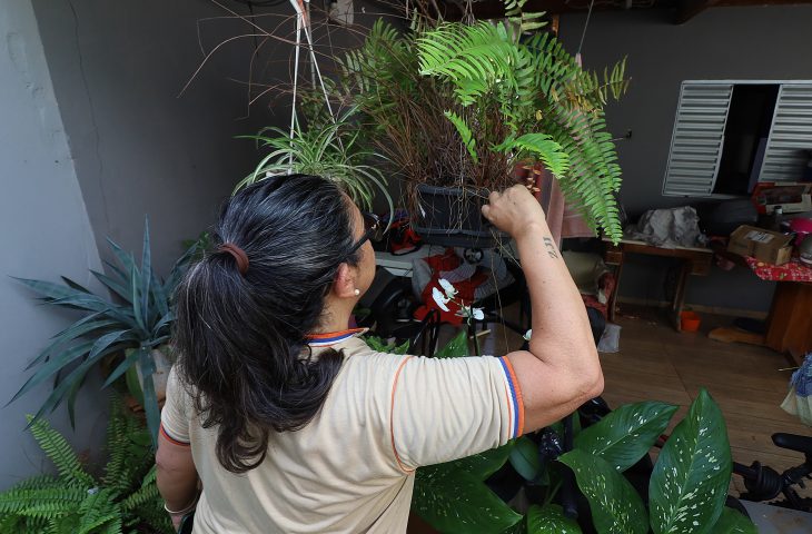 Contra o mosquito, todos do mesmo lado: MS realiza ‘Dia D’ de Combate à Dengue