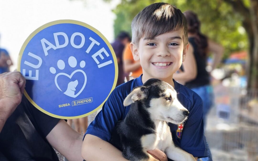Com cães e gatos disponíveis, Subea realiza última ação de adoção de pets em 2025