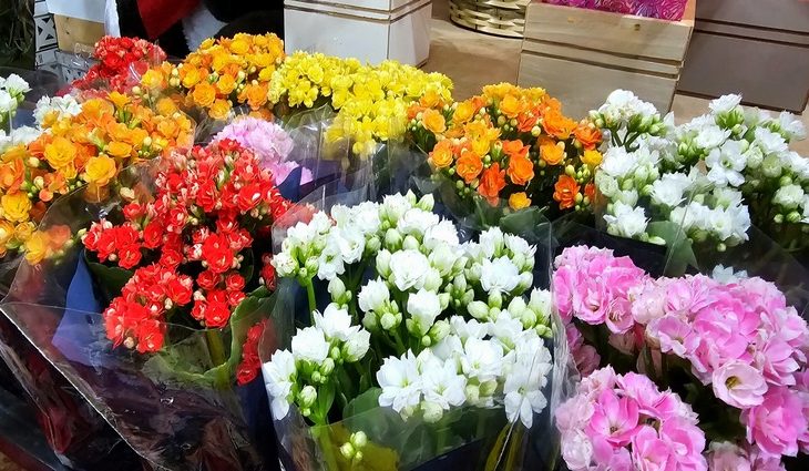 Procon de MS encontra diferenças de preços de flores de até 194,12%