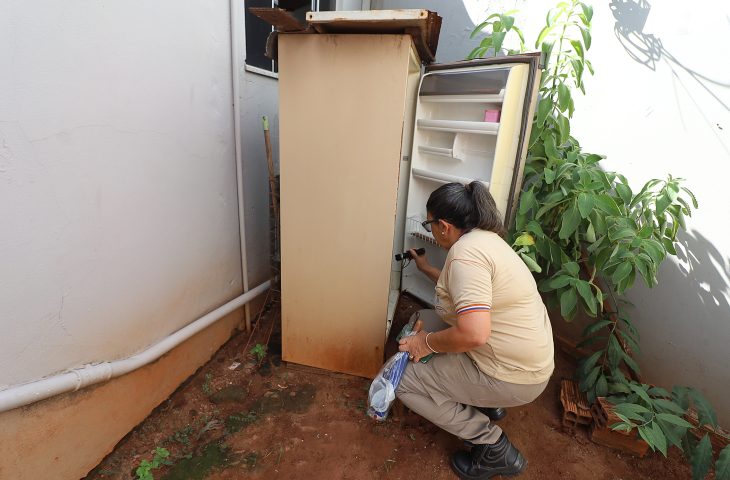 MS registra 8.299 casos confirmados de dengue