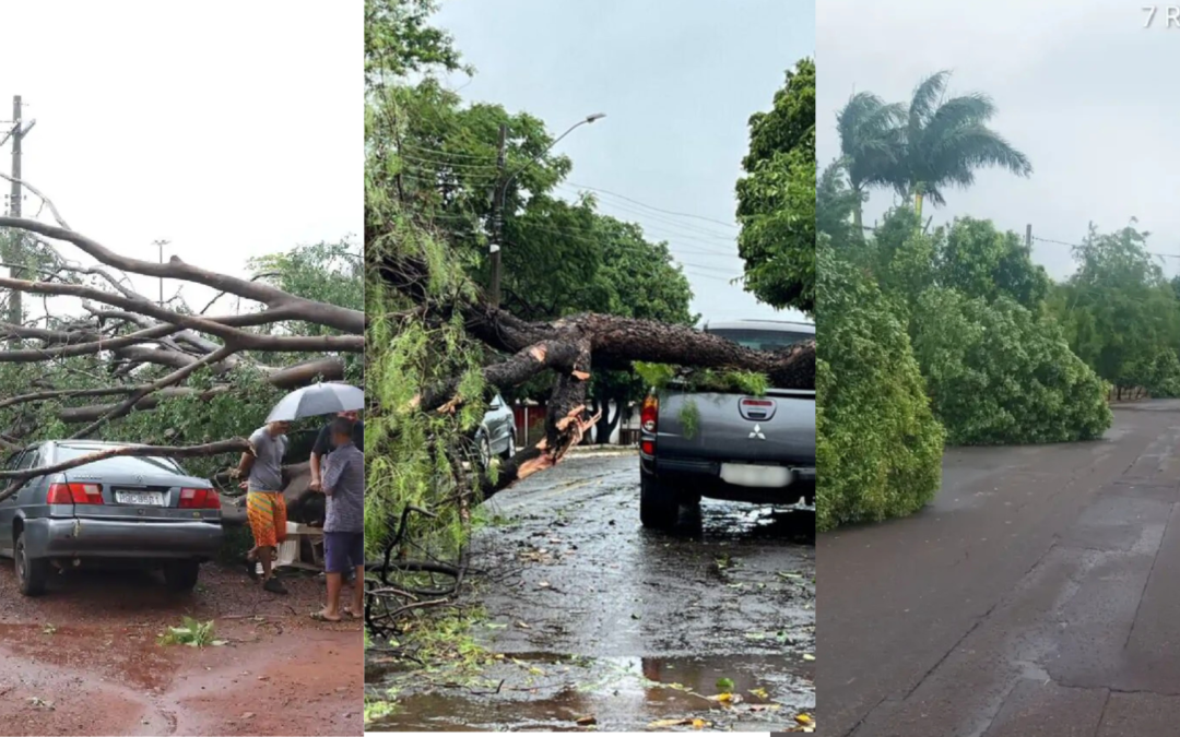 Defesa Civil de Campo Grande recebe mais de 80 solicitações de serviço após temporal