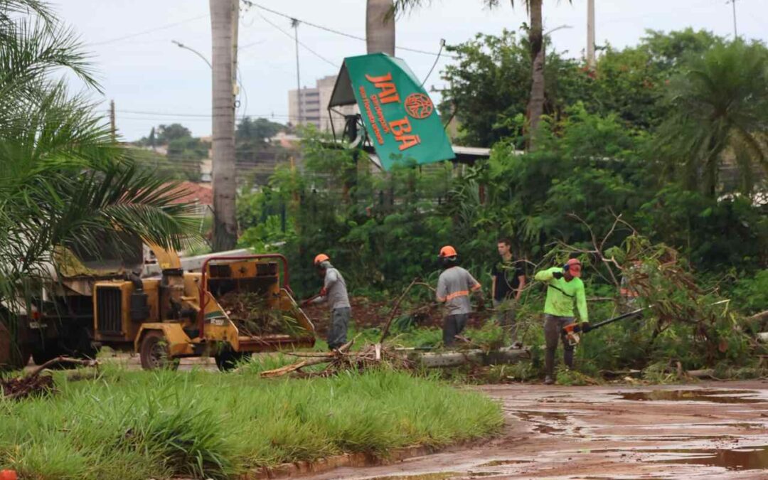 Após três temporais em dez dias, capital enfrenta 200 pontos de danos