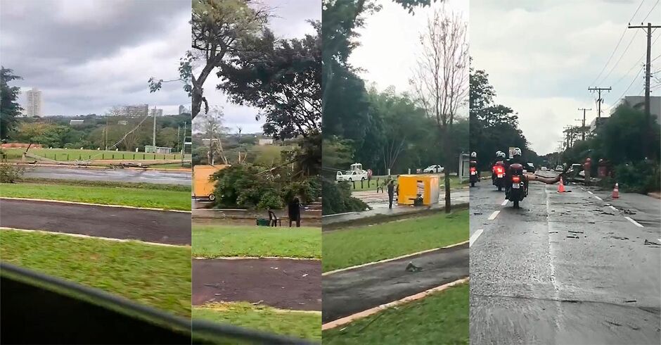 Chuva com vento causa estrago, derruba trailers e árvores na Avenida Afonso Pena