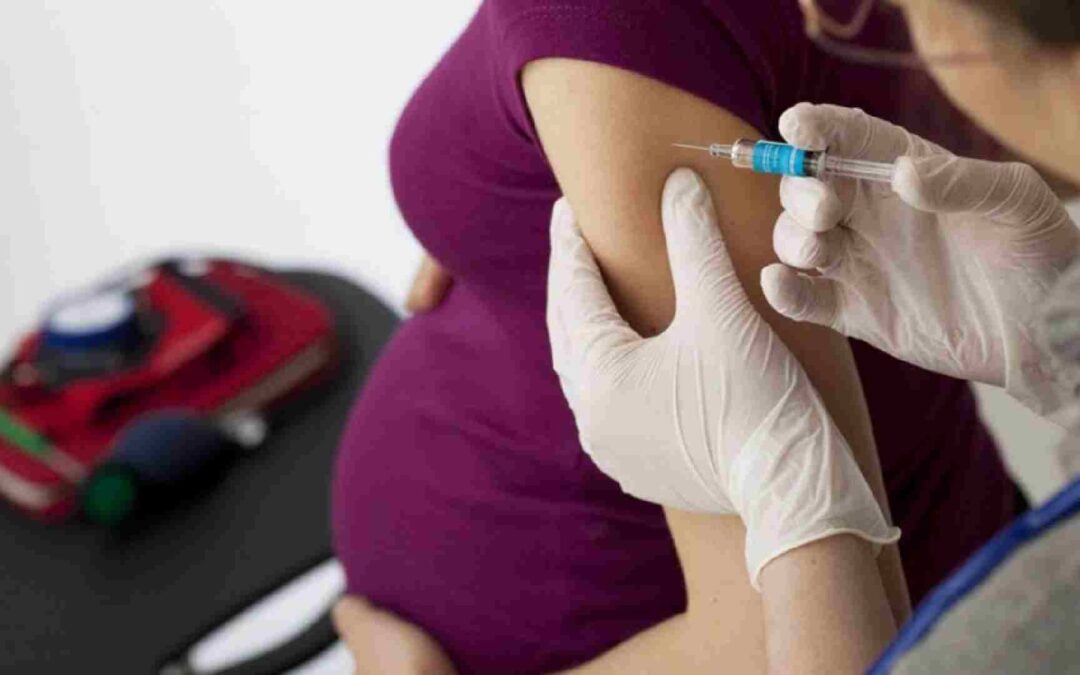 Primeira leva da vacina contra bronquiolite deve contemplar só 27% das gestantes em MS