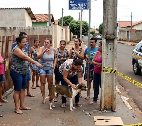 Cassilândia: Cachorro é amarrado e castrado com faca no meio da rua por homem