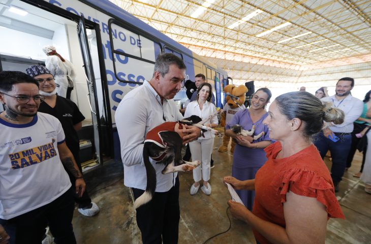 Primeira etapa: Caravana da Castração atende 20 mil animais em 63 municípios do Estado